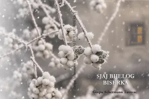 SJAJ BIJELOG BISERKA