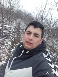 Nikola Ninković
